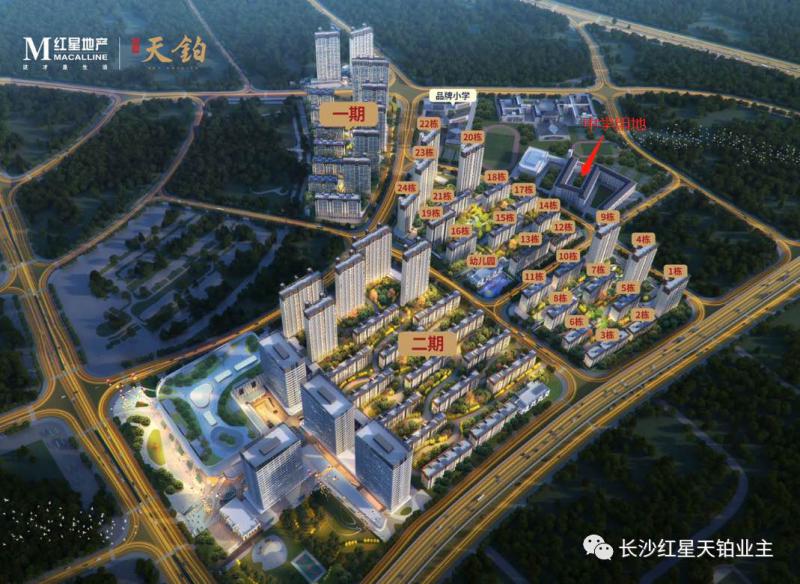 遠(yuǎn)洋紅星天鉑